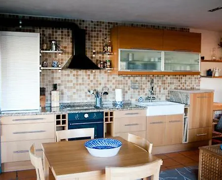 Zorro Fugaz En Puntalara