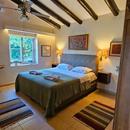 Zorro Fugaz En Puntalara