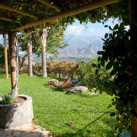 Zorro Fugaz En Puntalara *