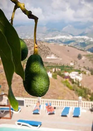 Сasa de vacaciones Zorro Fugaz En Puntalara Nerja