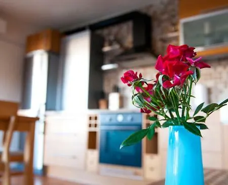 Zorro Fugaz En Puntalara *