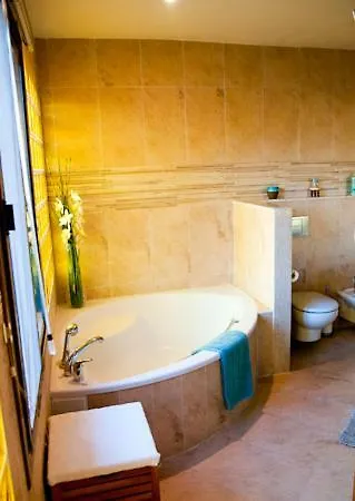 Zorro Fugaz En Puntalara *