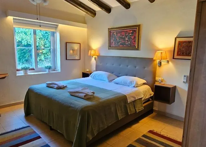 Zorro Fugaz En Puntalara