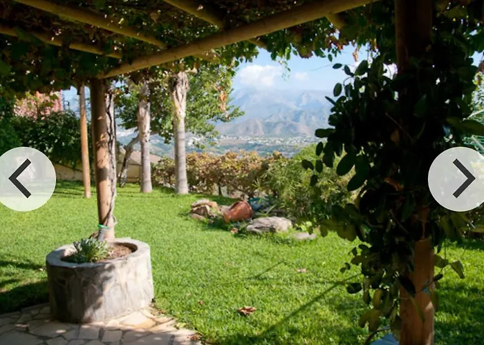 Zorro Fugaz En Puntalara *