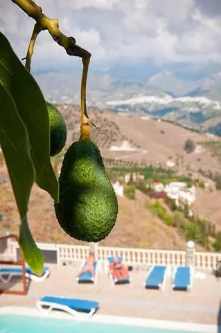 Semesterbostad Zorro Fugaz En Puntalara Nerja