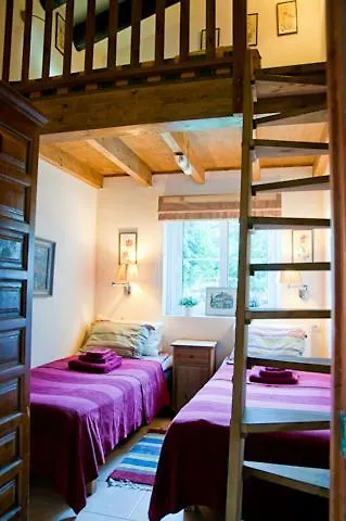 Zorro Fugaz En Puntalara