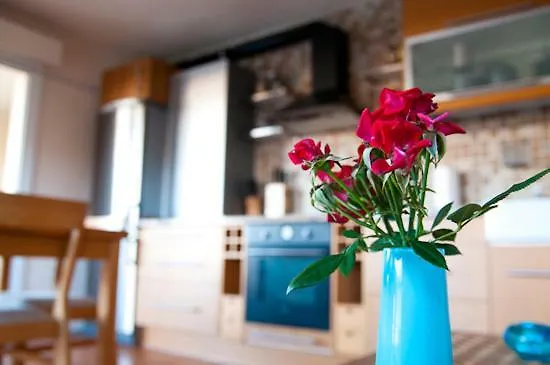 Zorro Fugaz En Puntalara *