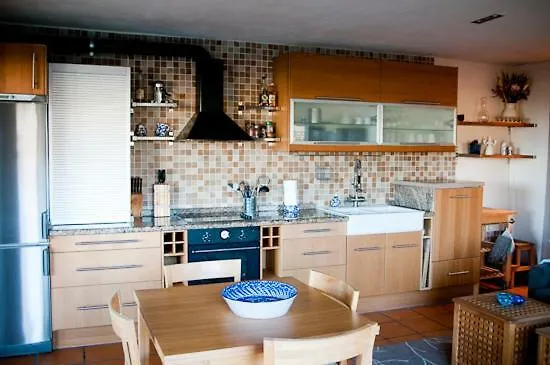 Zorro Fugaz En Puntalara