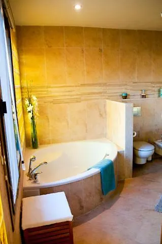 Zorro Fugaz En Puntalara *