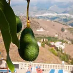Holiday home Zorro Fugaz En Puntalara Nerja